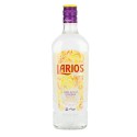 Gin Larios L.